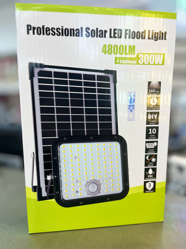 30W Professional Solar LED Flood Light with Montion Sensor