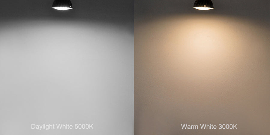 PAR 16 Bulb - 5W - Dimmable – LED OUTLET PR